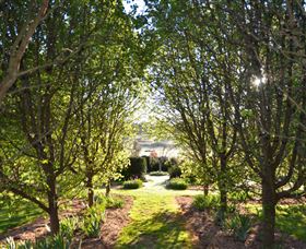 All Saints Garden - Accommodation NSW 4