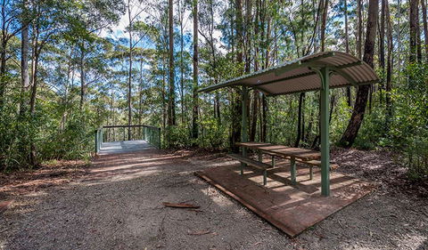 Big Nellie Lookout And Picnic Area - Accommodation NSW 0