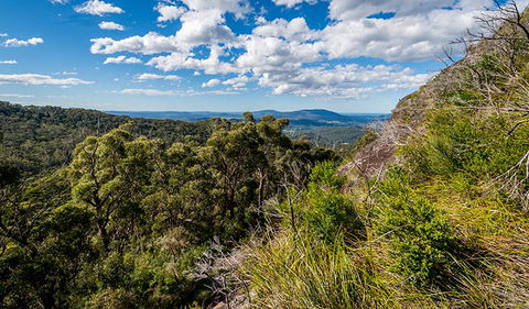 Big Nellie Lookout And Picnic Area - Accommodation NSW 2