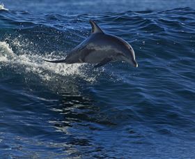 Town Centre - Accommodation NSW 1