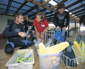 Dolphin Discovery Centre - Accommodation NSW 1