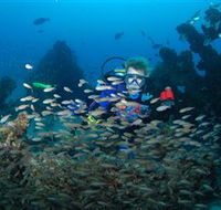 Aarhus Dive Site - Accommodation NSW