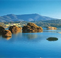 Wagonga Picnic Area - Accommodation NSW