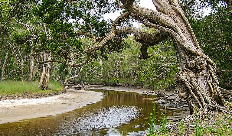 Saltwater NSW Accommodation NSW