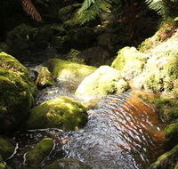 South East Forests National Park - Accommodation NSW
