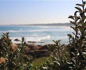 Cape Conran Coastal Park - Accommodation NSW 0
