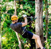 TreeTop Challenge Currumbin - Accommodation NSW
