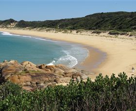 Cape Conran Nature Trail - Accommodation NSW 1