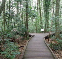 Victoria Park boardwalk - Accommodation NSW