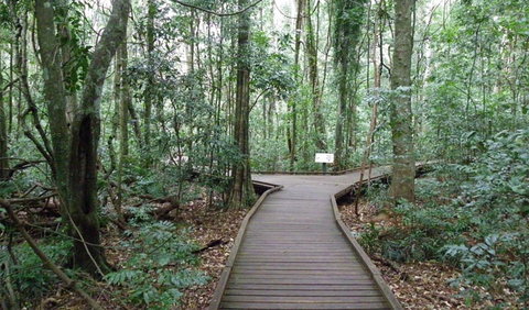 Victoria Park Boardwalk - Accommodation NSW 0