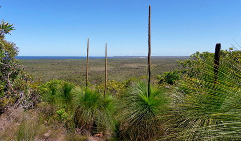 Broadwater National Park - Accommodation NSW 1