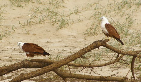 Broadwater National Park - Accommodation NSW 2