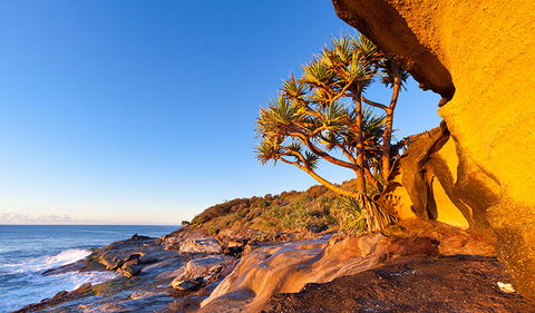 Angourie To Brooms Head - Accommodation NSW 1