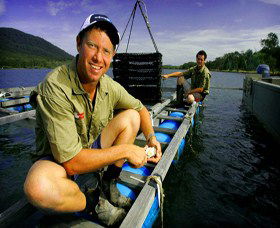Armstrong Oysters - Accommodation NSW 0