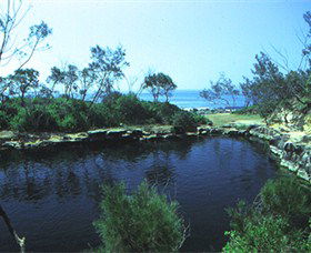 Angourie Blue Pool - Accommodation NSW 2