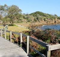 Mimosa Rocks walking track - Accommodation NSW
