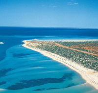 Monkey Mia - Accommodation NSW