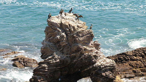Ben Boyd National Park - Accommodation NSW 2