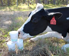 Millers Ice Cream - Accommodation NSW 2