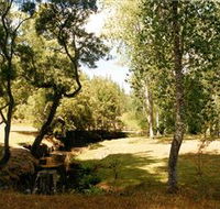 Oldina Picnic Area - Accommodation NSW