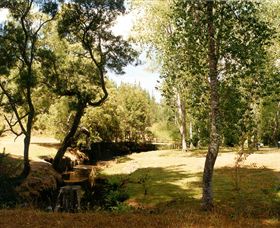Oldina Picnic Area - Accommodation NSW 0