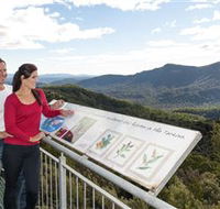 Whyte Hills Lookout - Accommodation NSW