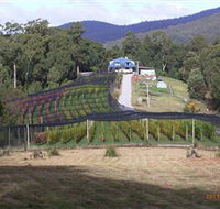 Motton Terraces - Accommodation NSW