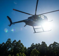 Tall Timbers Adventure Tours - Accommodation NSW