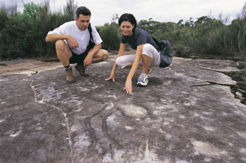 Sydney Coast Walks - Accommodation NSW 2