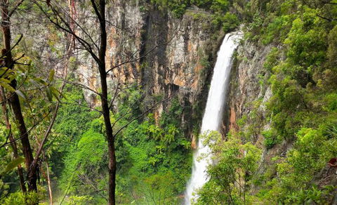Southern Cross Day Tours Gold Coast - Accommodation NSW 9