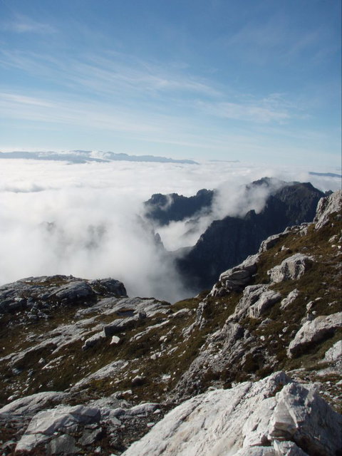 Trek Tasmania - Accommodation NSW 5