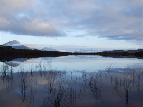 Trek Tasmania - Accommodation NSW 6