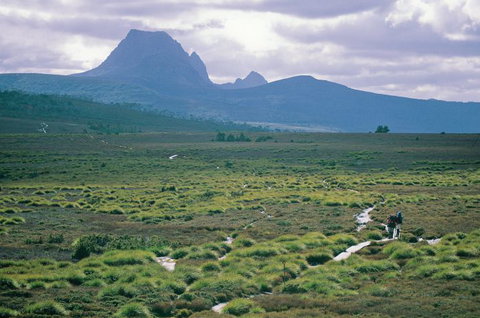 Trek Tasmania - Accommodation NSW 7