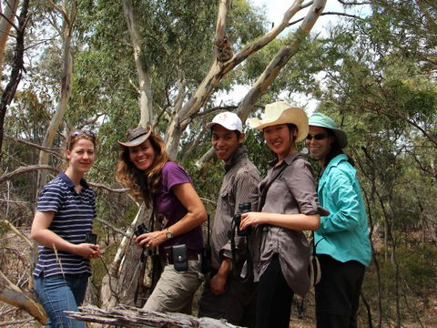 Echidna Walkabout Nature Tours - Accommodation NSW 4