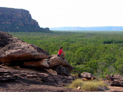 Echidna Walkabout Nature Tours - Accommodation NSW 21