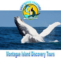 Lighthouse Charters Narooma - Accommodation NSW