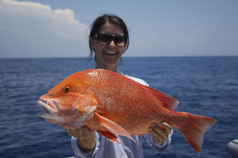 Absolute Ocean Charters - Accommodation NSW 3