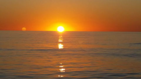 Absolute Ocean Charters - Accommodation NSW 16
