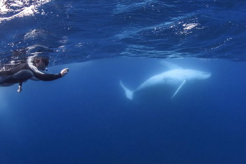 Sunreef Mooloolaba - Accommodation NSW 5