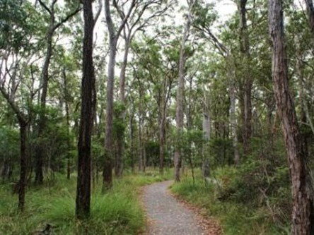 Caboolture Regional Environment Education Centre - Walking Trails - Accommodation NSW 0