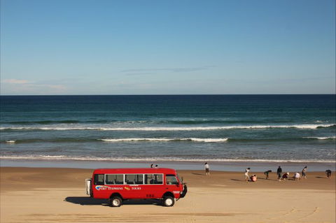 Port Stephens 4WD Tours - Accommodation NSW 6