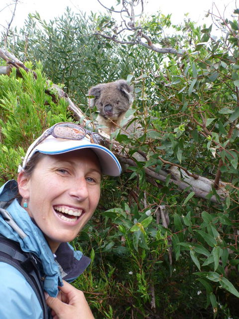 Auswalk Walking Holidays - Accommodation NSW 4