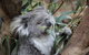 Oceania Tours And Safaris - thumb 2