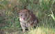 Oceania Tours And Safaris - thumb 7