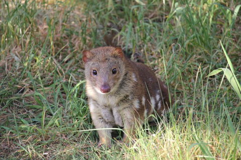 Oceania Tours And Safaris - Accommodation NSW 8