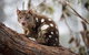 Oceania Tours And Safaris - thumb 23