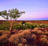 Island Stack Boodjamulla Lawn Hill National Park - Accommodation NSW