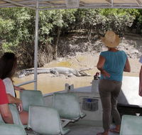 Whitsunday Crocodile Safari - Accommodation NSW