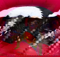 Early Start Discovery Space - Accommodation NSW