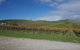 Wine Compass - thumb 1